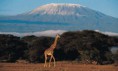 /album/fotogaleria-crowdfunding-luna-de-miel/tanzania-7-jpg/